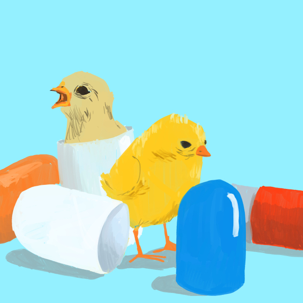 chick hatching from a pill